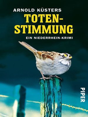 cover image of Totenstimmung